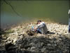 My Gallery: Image